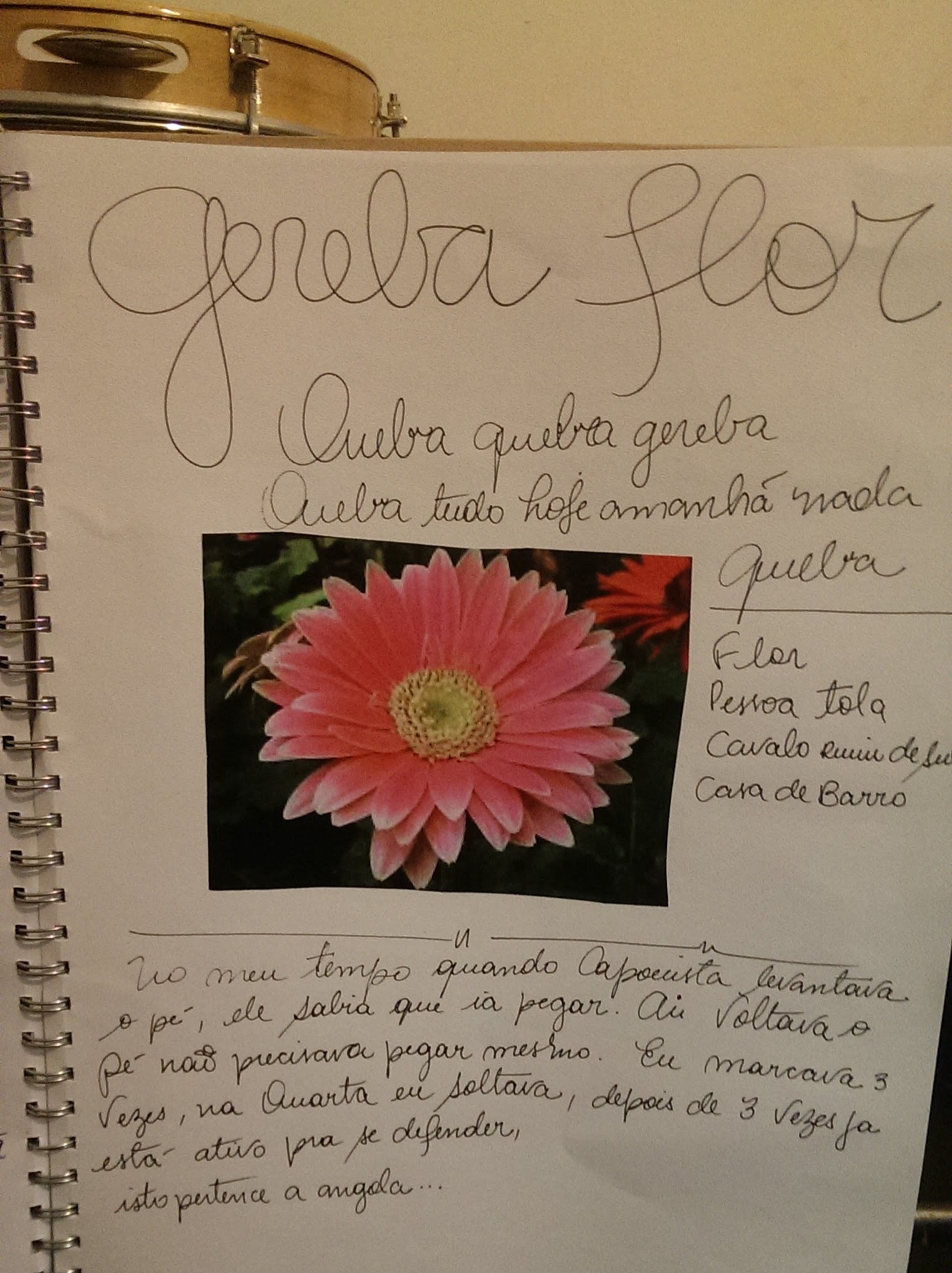 Gereba has various meanings: flower, foolish person, untamable horse, mud hut.