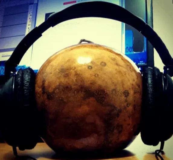 Image of a cabaça with headphones on.